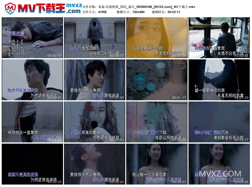 亚磊-失落的爱_国语_流行_MEB00188